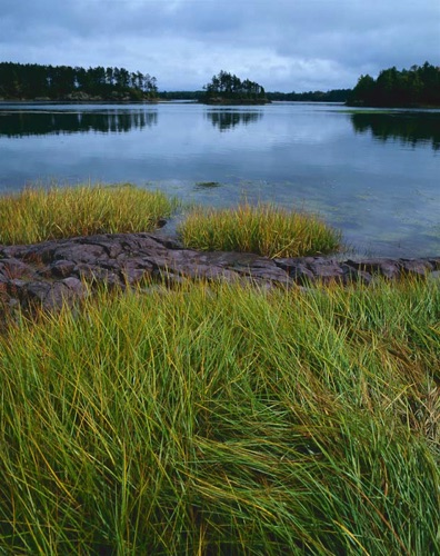 Cobskook Bay, ME, (MF).jpg